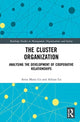 Book cover of: Cluster Organization. By: Anna Maria Lis