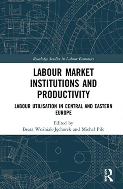 Book cover of: Labour Market Institutions and Productivity. By: Beata Woźniak-Jęchorek