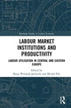 Book cover of: Labour Market Institutions and Productivity. By: Beata Woźniak-Jęchorek