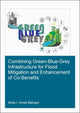 Book cover of: Combining Green-Blue-Grey Infrastructure for Flood Mitigation and Enhancement of Co-Benfits. By: Alida I. Alves Beloqui