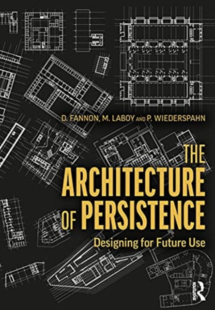 Book cover of: Architecture of Persistence. By: D. Fannon