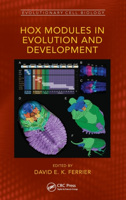 Book cover of: Hox Modules in Evolution and Development. By: David E. K. Ferrier
