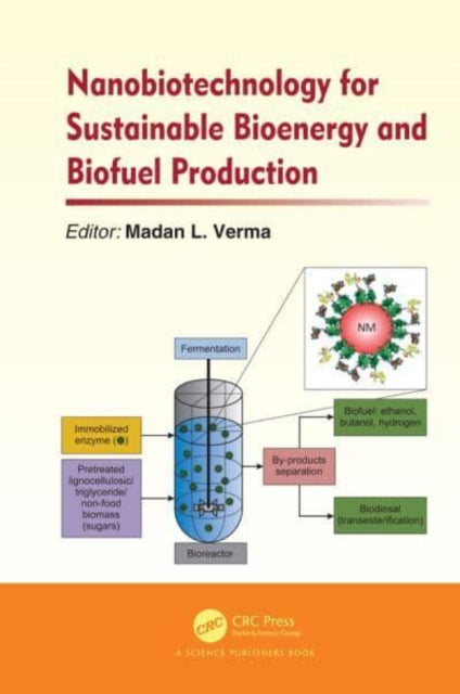 Book cover of: Nanobiotechnology for Sustainable Bioenergy and Biofuel Production. By: Madan L. Verma