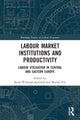 Book cover of: Labour Market Institutions and Productivity. By: Beata Wozniak-Jechorek