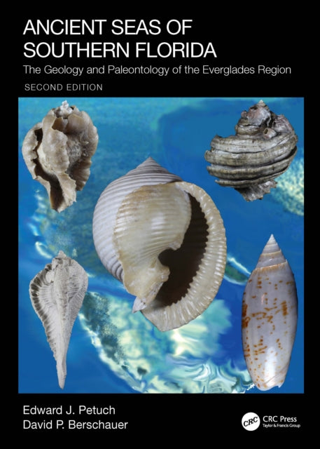 Book cover of: Ancient Seas of Southern Florida. By: Edward J. Petuch