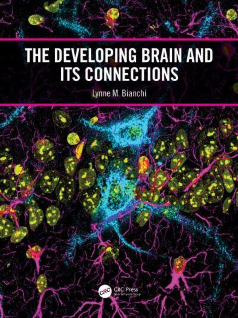 Book cover of: Developing Brain and its Connections. By: Lynne M. Bianchi