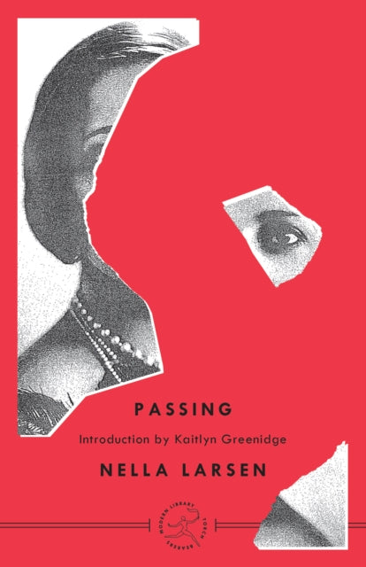 Book cover of: Passing