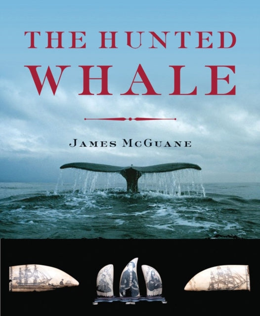 Book cover of: Hunted Whale. By: James P. McGuane