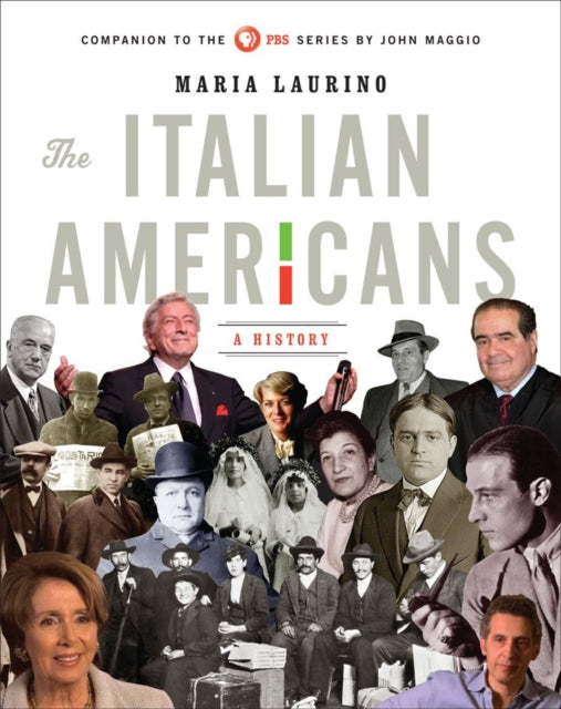 Book cover of: Italian Americans. By: Maria Laurino
