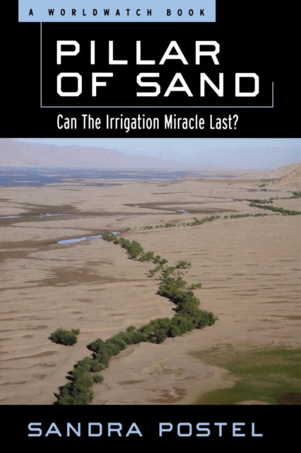 Book cover of: Pillar of Sand. By: Sandra Postel