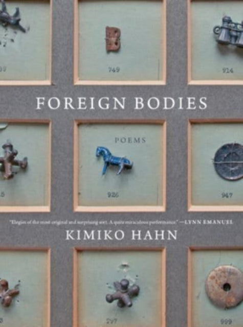Book cover of: Foreign Bodies. By: Kimiko Hahn