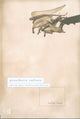 Book cover of: Prosthetic Culture