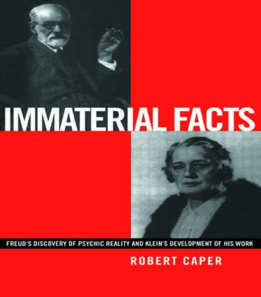 Book cover of: Immaterial Facts