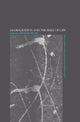 Book cover of: Globalisation and the Rule of Law
