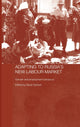 Book cover of: Adapting to Russia's New Labour Market. By: Sarah Ashwin