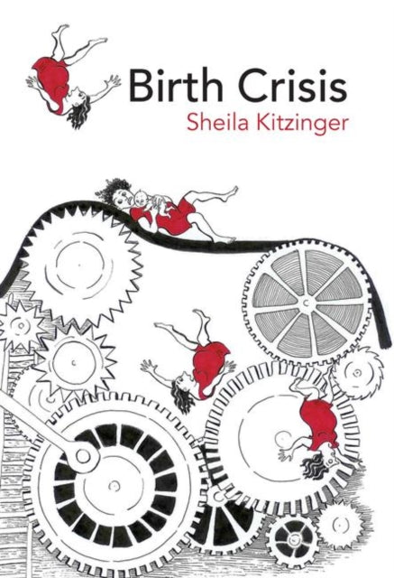 Book cover of: Birth Crisis