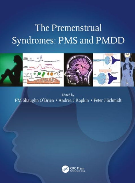 Book cover of: Premenstrual Syndromes