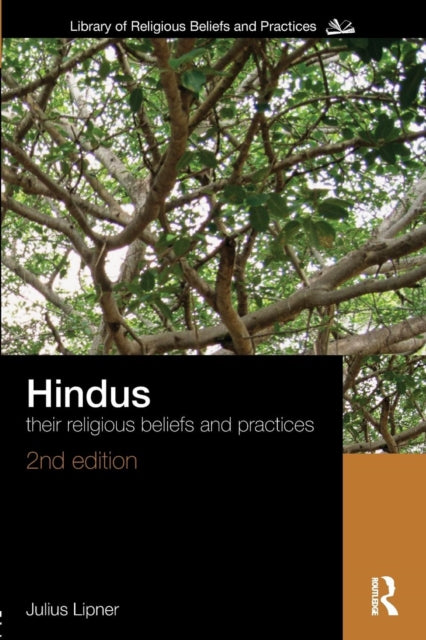 Book cover of: Hindus. By: Julius Lipner