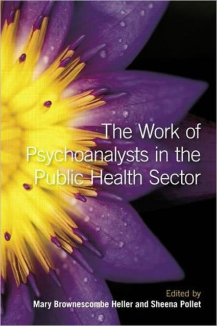 Book cover of: Work of Psychoanalysts in the Public Health Sector