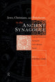 Book cover of: Jews, Christians and Polytheists in the Ancient Synagogue. By: Steven Fine