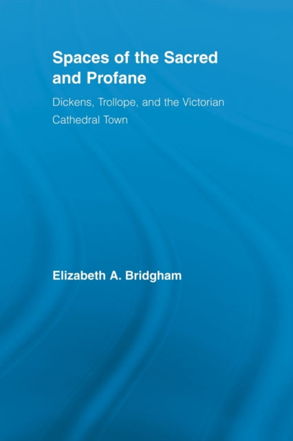 Book cover of: Spaces of the Sacred and Profane. By: Elizabeth A. Bridgham