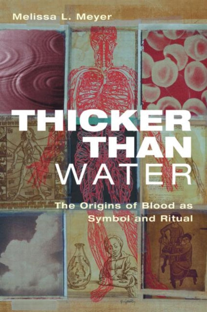 Book cover of: Thicker Than Water. By: Melissa L. Meyer