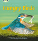 Book cover of: Bug Club Phonics - Phase 5 Unit 23: Hungry Birds. By: Vicky Shipton