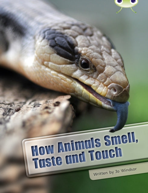 Book cover of: Bug Club Independent Non Fiction Year Two White A How Animals Smell, Taste and Touch