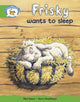 Book cover of: Literacy Edition Storyworlds Stage 3: Frisky Sleep