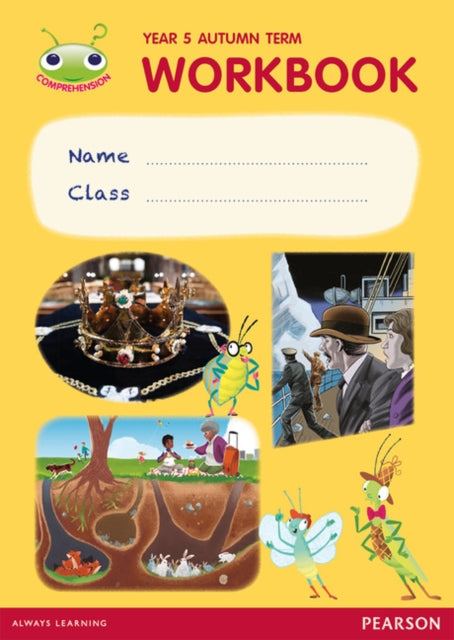 Bug Club Pro Guided Y5 Term 1 Pupil Workbook 9780435185909 Catherine Casey
