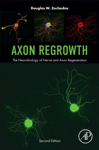Book cover of: Axon Regrowth. By: Douglas W Zochodne