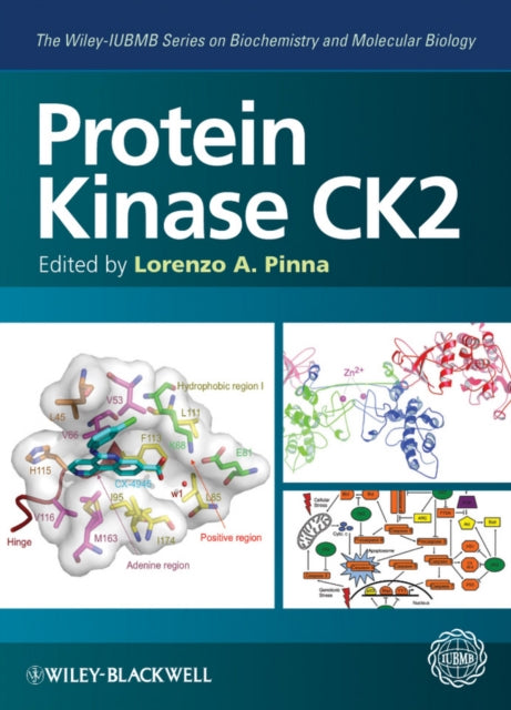 Book cover of: Protein Kinase CK2. By: Lorenzo A. Pinna