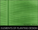 Book cover of: Elements of Planting Design. By: Richard L. Austin