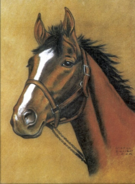 Book cover of: Horse Notebook. By: Dover
