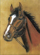 Book cover of: Horse Notebook. By: Dover