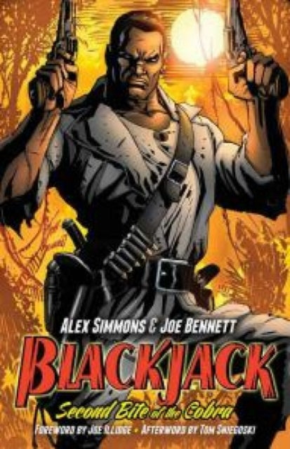 Book cover of: Blackjack. By: Alex Simmons