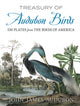 Book cover of: Treasury of Audubon Birds. By: John James Audubon