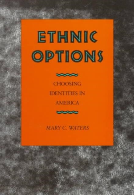 Book cover of: Ethnic Options