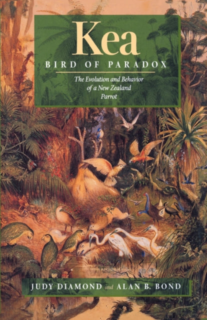 Book cover of: Kea, Bird of Paradox
