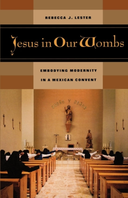 Book cover of: Jesus in Our Wombs. By: Rebecca J. Lester