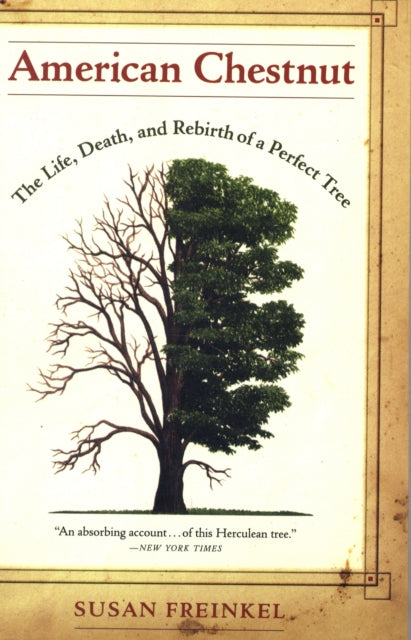 Book cover of: American Chestnut. By: Susan Freinkel