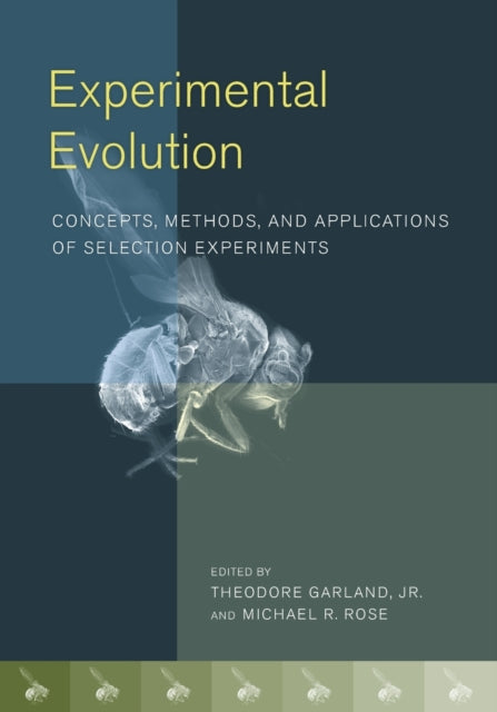 Book cover of: Experimental Evolution