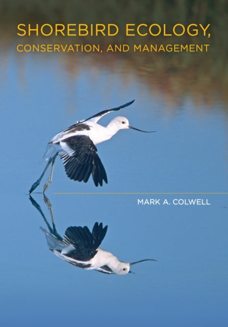 Book cover of: Shorebird Ecology, Conservation, and Management