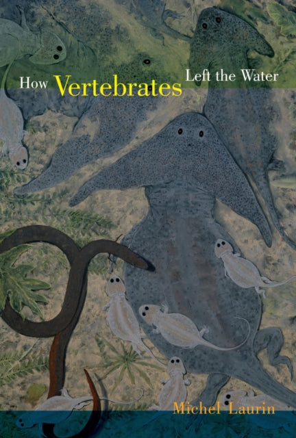 Book cover of: How Vertebrates Left the Water. By: Michel Laurin