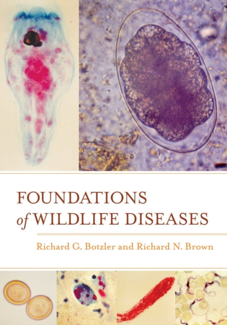 Book cover of: Foundations of Wildlife Diseases. By: Richard G. Botzler