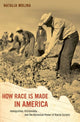 Book cover of: How Race Is Made in America