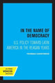 Book cover of: In the Name of Democracy. By: Thomas Carothers