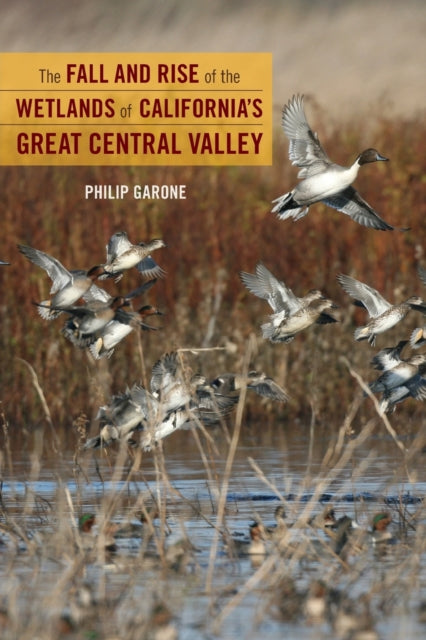 Book cover of: Fall and Rise of the Wetlands of California's Great Central Valley. By: Philip Garone