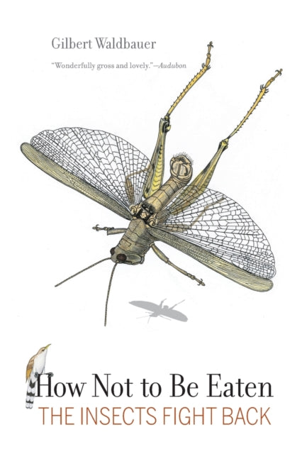 Book cover of: How Not to Be Eaten. By: Gilbert Waldbauer