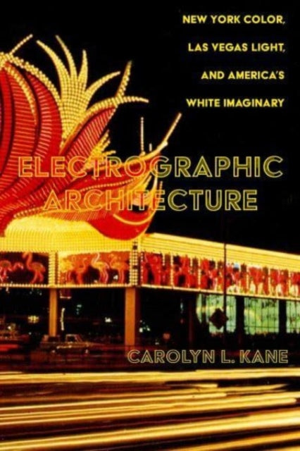 Book cover of: Electrographic Architecture. By: Carolyn L. Kane